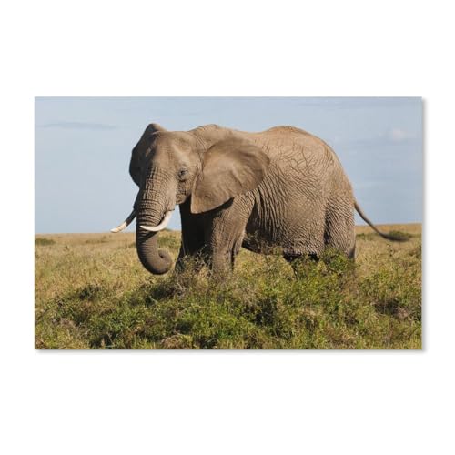1000Pcs，Elefanten，Jigsaw Adult Decompression Game Puzzle Studenten Spielzeug Für Kinder Weihnachten Geburtstagsgeschenke（38x26cm）-A15 von ObuMI