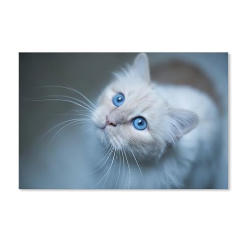 Burma-Katze, weißes Kätzchen，Puzzles für Erwachsene 1000 Teile, Puzzle Schwierig für Erwachsene Teenager Freizeit Spaß Spiel Spielzeug Geeignet für Familie Freunde Dekorativ（38x26cm）-A132 von ObuMI