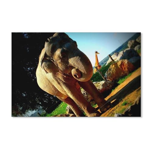 Elefant und Giraffe，Puzzles 1000 Teile für Erwachsene, Klassische Puzzle Kinder Puzzle Herausfordernde Und Schwierige Rätsel für Erwachsene Und Jugendliche（38x26cm）-A129 von ObuMI