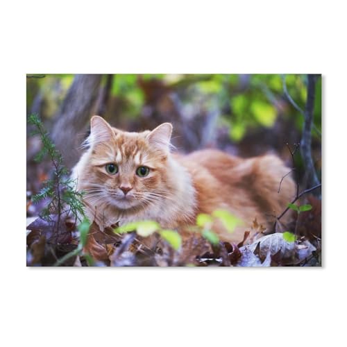 Grüne Augen orangefarbene Katze，Puzzles für Erwachsene 100 Teile, Schwierig für Erwachsene Teenager Freizeit Spaß Spiel Spielzeug Geeignet für Familie Freunde Dekorativ（45.5x35.5cm）-A278 von ObuMI