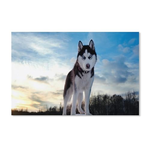 Husky unter dem Himmel，1000 Teile Puzzle Erwachsene Dekompressionsspielzeug Erwachsene Ideales Pädagogisches Puzzle Erwachsene Spiele Geschenk（38x26cm）-70 von ObuMI