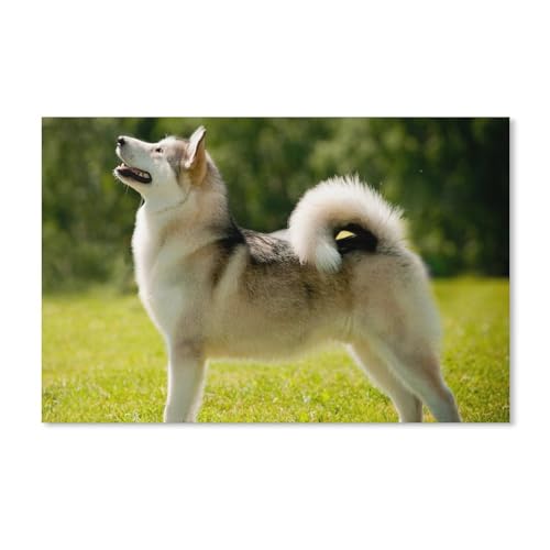 Karton Puzzle Puzzle 1000 Stück，Alaskan Malamute-Hund，Puzzles Lernspielzeug Für Erwachsene Geburtstagsgeschenk Home Decoration（38x26cm）-A174 von ObuMI