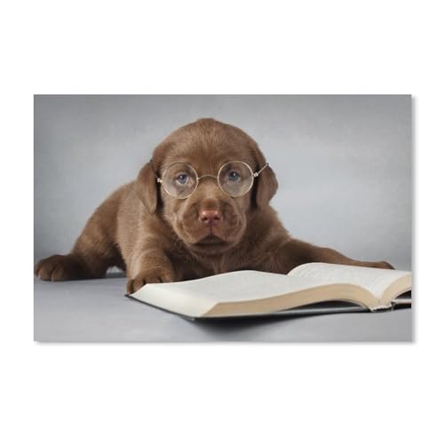 Labrador-Hund, braun, liest EIN Buch, Brille，Puzzle 100 Teile für Erwachsene, Klassische Puzzle Teenager Jungen Mädchen Puzzle Puzzles Spiele Pädagogisches Geschenk Home Decor（45.5x35.5cm）-58 von ObuMI