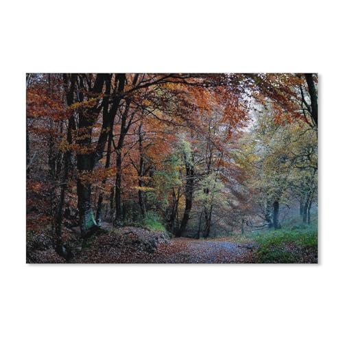 Naturwald, Herbstbäume hinterlassen Weg，Puzzle 100 Teile Karton Puzzle Geeignet Für Erwachsene Kinder Familien Stressabbau Puzzlespiele（45.5x35.5cm）-A140 von ObuMI