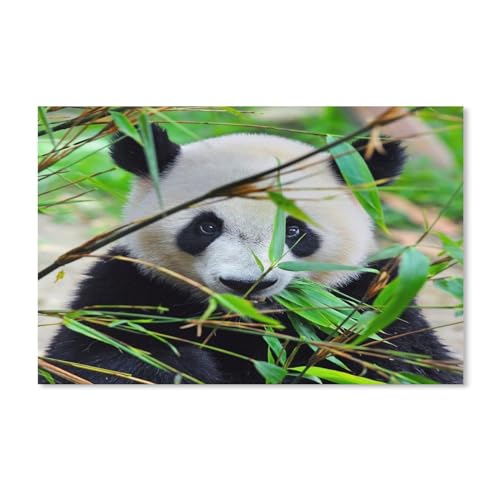 Panda，Puzzles 1000 Teile für Erwachsene, Klassische Puzzle Kinder Puzzle Herausfordernde Und Schwierige Rätsel für Erwachsene Und Jugendliche（50x70cm）-A56 von ObuMI