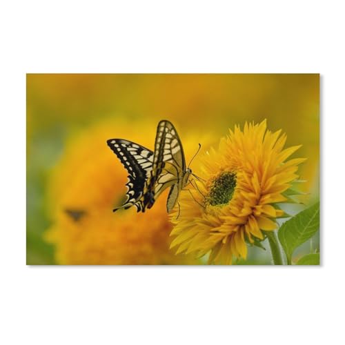 Papier Puzzle 1000 Stück，Schmetterling, Sonnenblume, Blütenblätter，Erwachsene Kinder Spielzeug Dekompression Spiel（50x70cm）-371 von ObuMI