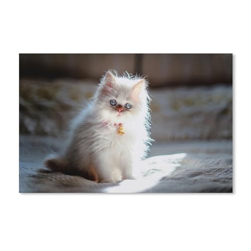 Papier Puzzle 1000 Stück，Tiere Persisches weißes Kätzchen，Puzzles Lernspielzeug Für Erwachsene Geburtstagsgeschenk（38x26cm）-159 von ObuMI