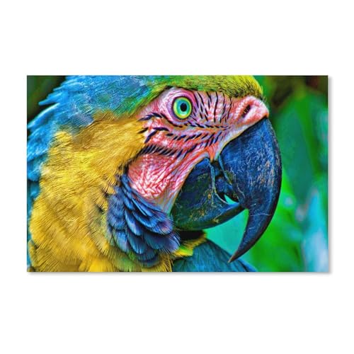 Papier Puzzle Puzzle 1000 Stück，Papageienvogel, blau-gelbes Ara-Tier，Puzzles Lernspielzeug Für Erwachsene Geburtstagsgeschenk Home Decoration（52x38cm）-320 von ObuMI