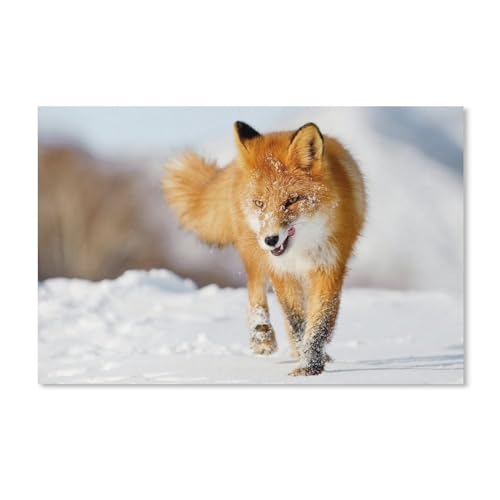 Puzzel Für Erwachsene Jigsaw Puzzle 1000，EIN Fuchs im Winterschnee，DIY Papp Puzzle Einzigartiges Geschenk（38x26cm）-A241 von ObuMI