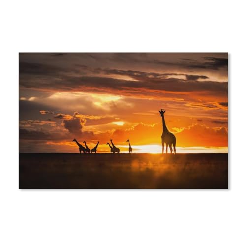 Puzzle，Herde Giraffen bei Sonnenuntergang，Für Kinder Und Erwachsene Holz Personalisiertes Puzzle-Spaß-Spiel 1000pcs(75x50cm-B67 von ObuMI