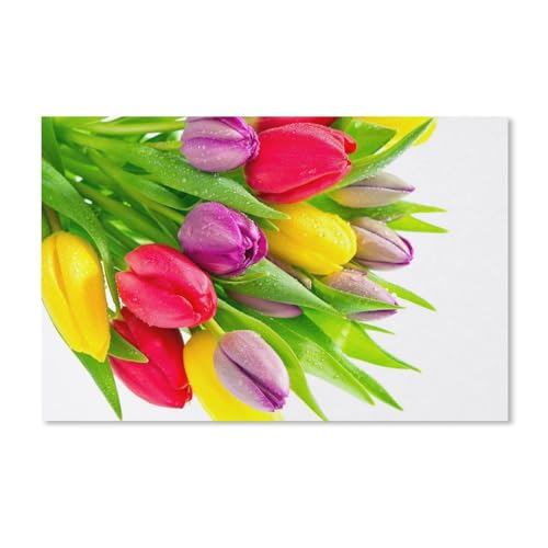 Puzzle 100 Teile Erwachsenen Puzzle，Tulpenblüten mit Wassertropfen，Kind Aus Karton Puzzle Panorama Art DIY Leisure Game Fun Geschenk Spielzeug Geeignete Freunde Familie（45.5x35.5cm）-A318 von ObuMI