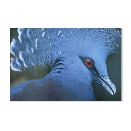 Puzzle 100 Teile für Erwachsene，Körperblaue Vögel，Puzzle Teenager Jungen Mädchen Puzzle Schwieriges, Herausforderndes Puzzle für Partyspiele（45.5x35.5cm）-A220 von ObuMI