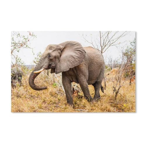 Puzzle 1000 Stück，Elefantenspaziergang im Gras，Für Holz Erwachsene Spielzeug Dekompression Spiel（75x50cm）-A89 von ObuMI