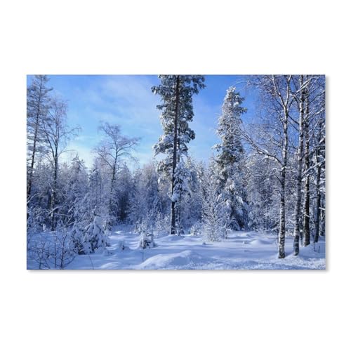Puzzle 1000 Stück，Im Winterwald gibt es viel Schnee，Karton Kinderspielzeug Dekompression Spiel（50x70cm）-A77 von ObuMI