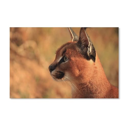 Puzzle 1000 Stück，Wildkatze, Luchs，Klassische Puzzle 3D Puzzle DIY Kit Karton Spielzeug Einzigartiges Geschenk Wohnkultur（50x70cm）-A261 von ObuMI