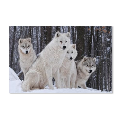 Puzzle 1000 Teile Erwachsene Kinde Spaß Lernspielzeug Geschenke，Wölfe Familie Natur Winter（38x26cm）-A112 von ObuMI