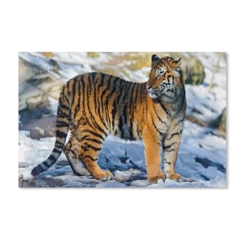 Puzzle 1000 Teile Landschaft Erwachsene Puzzle Karton Puzzle 3D Klassisches Puzzle，Tiger schaut zurück，DIY Moderne Kunst Hauptdekor（38x26cm）-A110 von ObuMI