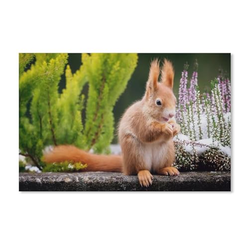 Puzzle 1000 Teile für Erwachsene，Eichhörnchen, Blumen，Puzzle Teenager Jungen Mädchen Puzzle Schwieriges, Herausforderndes Puzzle für Partyspiele（50x70cm）-A195 von ObuMI