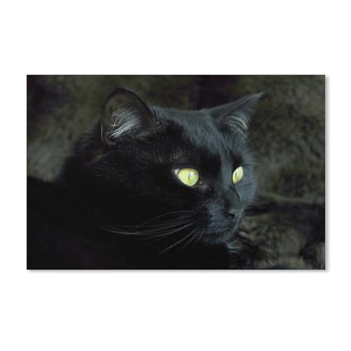 Puzzle 1000 Teile für Erwachsene，Schwarze Katze，Klassische Puzzle Teenager Jungen Mädchen Puzzle DIY Moderne Wohnkultur Einzigartiges Geschenk Intellektuelles Spiel（38x26cm）-270 von ObuMI