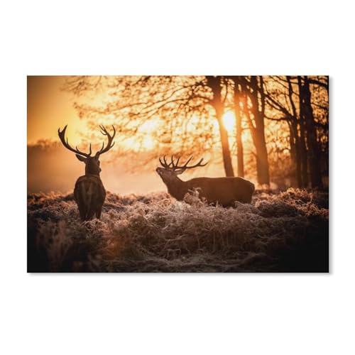 Puzzle 1000 Teile für Erwachsene，Zwei Hirsche im Wald bei Sonnenuntergang，Puzzle Teenager Jungen Mädchen Puzzle for Teen Lernspiel Holiday Challenging Puzzle（38x26cm）-D44 von ObuMI