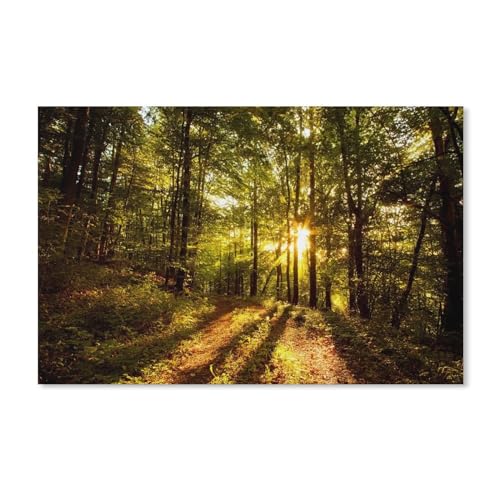 Puzzles 1000 Stück Holz Montage Bild，Wald, Bäume, Sonnenschein，Erwachsene Spiele Lernspielzeug（75x50cm）-A153 von ObuMI