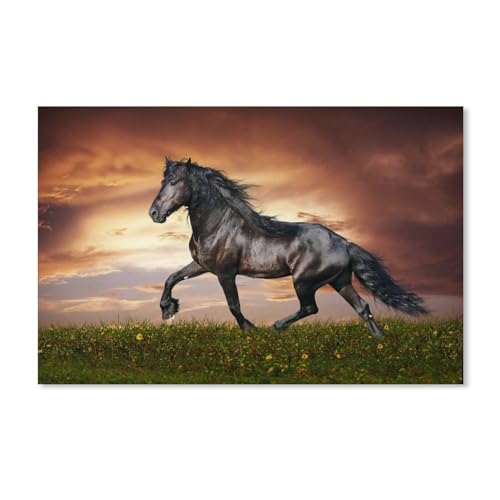 Schwarzes Pferd，Papier Puzzle 1000 Teile Spielzeug Für Erwachsene Dekompressionsspiel（38x26cm）-D58 von ObuMI