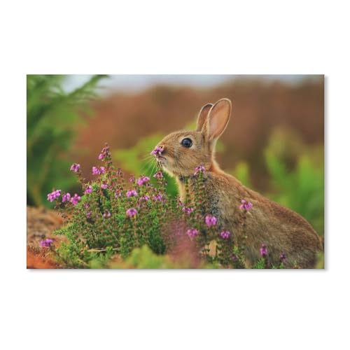 Tiere Hase, Blumen, Gras，Puzzles, 1000-teiliges Puzzle Für Erwachsene Und Kinder Ab 10 Jahren（38x26cm）-A61 von ObuMI