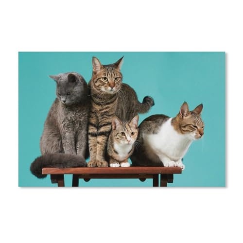 Vier Katzen，Puzzle 1000 Teile für Erwachsene, Klassische Puzzle Puzzle Schwierig für Kid Surprise Birthday für Family Home Decor Art Puzzle（52x38cm）-203 von ObuMI