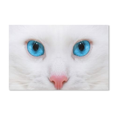 weiße Katze mit blauen Augen，Puzzles 1000 Teile für Erwachsene, Klassische Puzzle Jungen Mädchen Puzzle für Kinder Teenager Lernspiel Spielzeug（52x38cm）-352 von ObuMI
