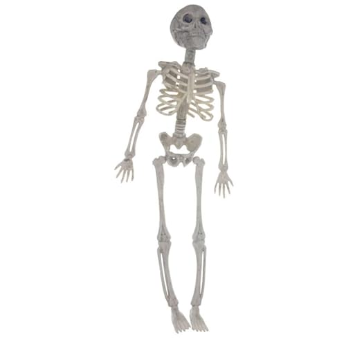 Ocastuted Bewegliche Skelettfigur - Menschliches Ganzkörper-Modellskelett mit beweglichen Gelenken,Ganzkörper-Skelett für Spukhaus-Friedhofsdekoration Ocastuted Bewegliche Skelettfigur - Menschliches Ganzkörper-Modellskelett mit beweglichen Gelenken,Ganzkörper-Skelett für Spukhaus-Friedhofsdekoration von Ocastuted