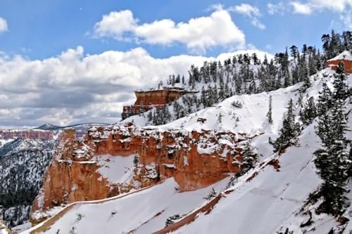 Bryce Canyon im Winter, 5000 Teile Holzpuzzle, tolles Geschenk für Teenager und Erwachsene von OcencO
