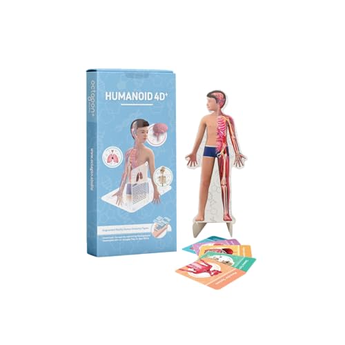 Humanoides 4D+ Augmented Reality-Modell der menschlichen Anatomie – Interaktives Mint-Lernspielzeug mit kostenloser App, Audiokommentar, mehrsprachiger Unterstützung für Kinder und Erwachsene Humanoides 4D+ Augmented Reality-Modell der menschlichen Anatomie – Interaktives Mint-Lernspielzeug mit kostenloser App, Audiokommentar, mehrsprachiger Unterstützung für Kinder und Erwachsene von Octagon Studio