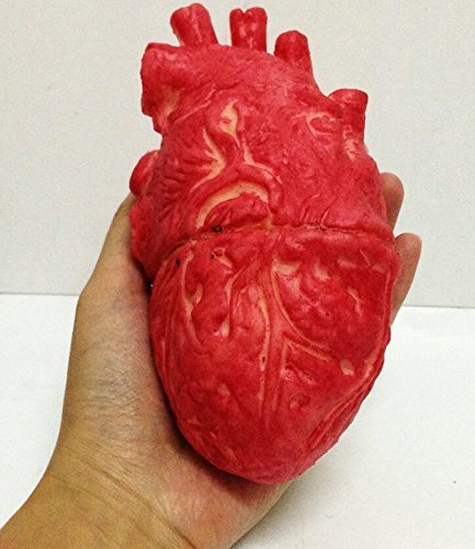 Ogquaton Halloween Horror Prop Bloody Zombie Food Gefälschtes menschliches Herz Körperteil Organ Umweltfreundlich und praktisch von Ogquaton