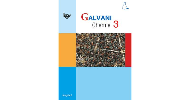 Buch - 10. Jahrgangsstufe von Oldenbourg Schulbuchverlag