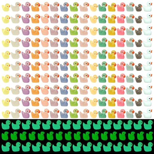 160 Stück Mini-Enten, 16 Farben Harz Enten winzige Enten, leuchten im Dunkeln, kleine Enten Bulk, leuchtende Harz-Tiere, kleine Enten für Aquarium, Mikro-Landschaft, Puppenhaus, Feengarten, winzige 160 Stück Mini-Enten, 16 Farben Harz Enten winzige Enten, leuchten im Dunkeln, kleine Enten Bulk, leuchtende Harz-Tiere, kleine Enten für Aquarium, Mikro-Landschaft, Puppenhaus, Feengarten, winzige von Onperpoe
