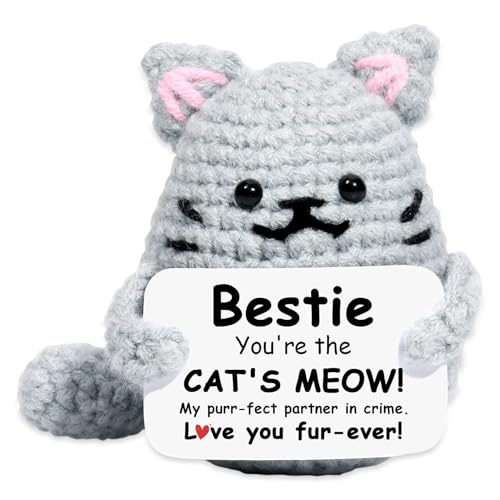 Onperpoe Emotionale Unterstützung Geschenk, Niedliche Positive Häkelkatze mit Ermutigungskarte, Handgemachte Positive Häkeltiere für Familie Freunde Ermutigung Party Dekoration (F) von Onperpoe
