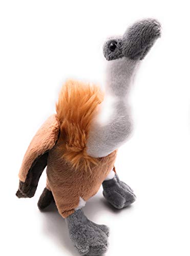 Onwomania Plüschtier Kuscheltier Stoff Tier Geier Greifvogel braun 22 cm von Onwomania