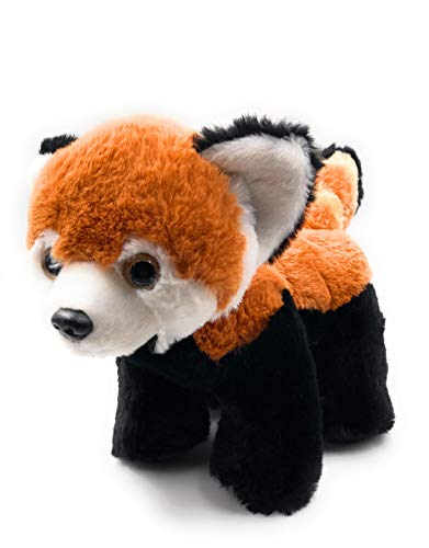 Onwomania Plüschtier Stofftier Kuscheltier Katzenbären Raubtier Roter Panda Länge 26 cm Braun Onwomania Plüschtier Stofftier Kuscheltier Katzenbären Raubtier Roter Panda Länge 26 cm Braun von Onwomania