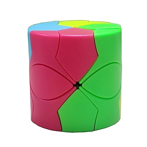 Gobus Special Redi Zylindrischer Würfel, ohne Aufkleber, Twist Magic Puzzle Cube Spielzeug von Oostifun