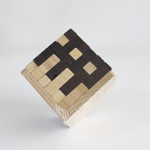 Oostifun Gobus 54 Stücke T Form Holz Bausteine Puzzle Geometrische Intelligenz pädagogisches Spielzeug, Holz/Schwarze Farbe von Oostifun