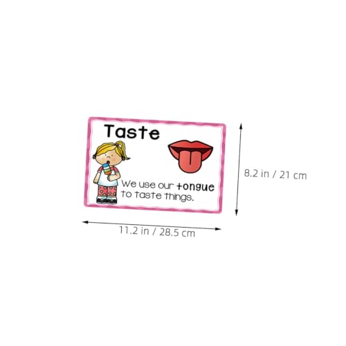 Operitacx 2 Sätze Lernposter Frühpädagogik Flashcards für Kleinkinder Wiederverwendbar Robustes Material Kognitive Entwicklung und Sinneswahrnehmung für Vorschule und Zuhause Operitacx 2 Sätze Lernposter Frühpädagogik Flashcards für Kleinkinder Wiederverwendbar Robustes Material Kognitive Entwicklung und Sinneswahrnehmung für Vorschule und Zuhause von Operitacx