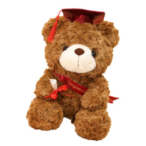 Graduation Gift Barbed Bear - 2025 Plüschtier Tasche Mit Schrittweise, Plüschtierbär Mit Kapuze, Plüschtier Tier Graduation Bear Mit CAP | Diplom Und Zugang von Opilroyn