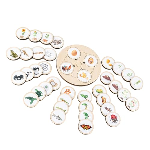 Puzzle des Lebenszyklus – Lernspiel-Set für Kinder, Lernpuzzle über Tiere, Pflanzen und Insekten | Kognitives Spiel für Kinder von 2-6 Jahren, Aktivitäten zur frühen Entwicklung, von Opilroyn