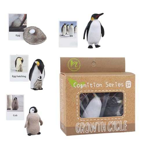 Animal Flash Cards, Educational Kids Matching Toys, Animal Life Cycle Toys, 4,33 x 1,65 x 4,41 Zoll Cute Learning Tools for Home, Kindergarten, Preschool, Nursery, Fun von Opvonxeh
