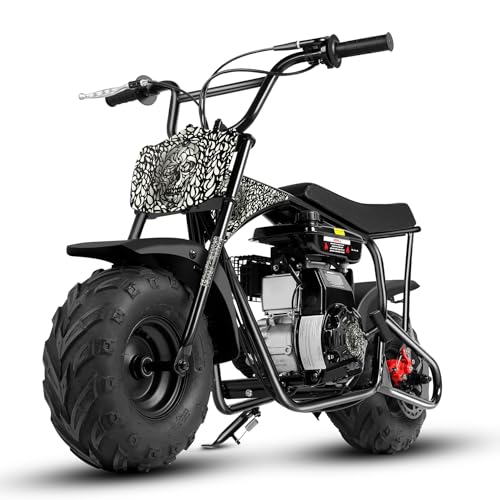 Oryxearth 105CC 4-Takt Dirt Bike Pocket Bike, Kinder Crossbike Benzin bis 40 km/h, Kinder Dirtbike, Motocross Motorrad, DIY-Aufkleber Mini Motorrad ab 13 Jahre (Schädel) von Oryxearth