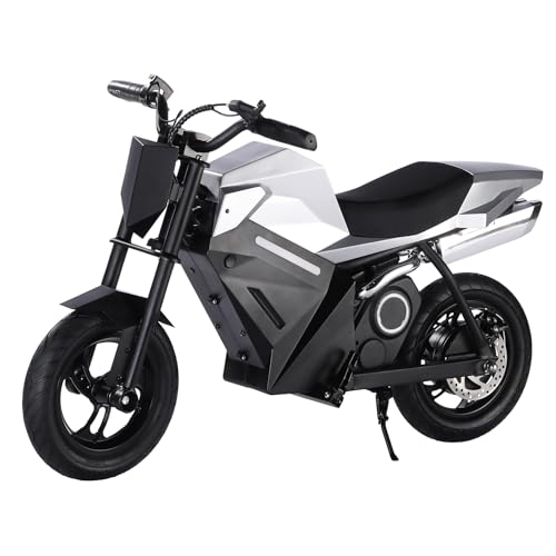 PAONAGO Elektro-Dirtbike für Kinder 350W Motor, 3 Geschwindigkeitsstufen (8/13/16 km/h), 14 km Reichweite, 12,5 Zoll Luftreifen, Offroad-Motorrad ab 8 Jahren von Oryxearth