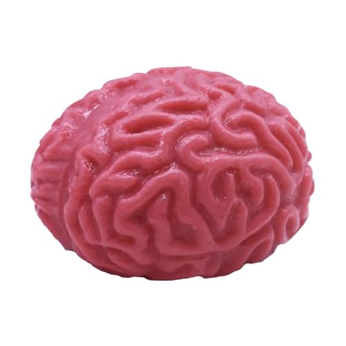 Gehirnball zum Drücken | Anti-Stress-Bälle in Gehirnform | Anti-Stress-Bälle für das Gehirn | Anti-Stress-Bälle im Gehirn | Spielzeug zum Quetschen des Gehirns | Squishy Spielzeug mit langsamem von Oseczmut