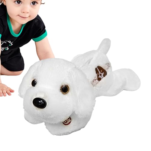 Oseczmut LED-Welpe, beleuchteter Welpe – niedliches Hunde-Plüschtier – 35,6 cm beleuchten Hund aus Plüsch, weich, Nachtlicht, Kissen für Kleinkinder Oseczmut LED-Welpe, beleuchteter Welpe – niedliches Hunde-Plüschtier – 35,6 cm beleuchten Hund aus Plüsch, weich, Nachtlicht, Kissen für Kleinkinder von Oseczmut