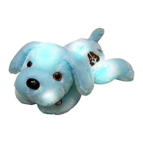 Oseczmut Plüschwelpe, beleuchtet, Hund, Plüsch, glänzend, kreatives Nachtlicht, 35,6 cm, Hund, Plüsch, weich, LED, Spielzeug für Geburtstagsfeiern Oseczmut Plüschwelpe, beleuchtet, Hund, Plüsch, glänzend, kreatives Nachtlicht, 35,6 cm, Hund, Plüsch, weich, LED, Spielzeug für Geburtstagsfeiern von Oseczmut