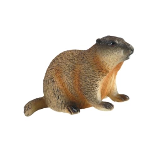 Oshhni Groundhog Model Figur Kognitive Spielzeug Miniatur Handwerkssimulation Desktop -Origination Bildung für Jungen Mädchen Kinder Kinder Kinder, Hocken Oshhni Groundhog Model Figur Kognitive Spielzeug Miniatur Handwerkssimulation Desktop -Origination Bildung für Jungen Mädchen Kinder Kinder Kinder, Hocken von Oshhni